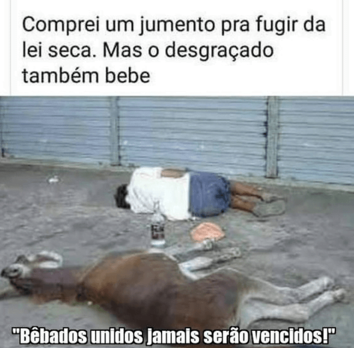 Frases engraçadas para Whatsapp