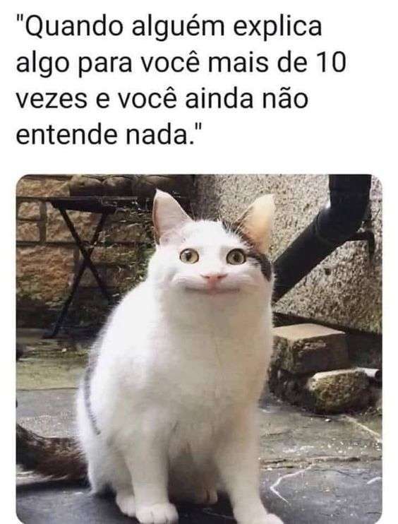 Meme imagem do gato estranho