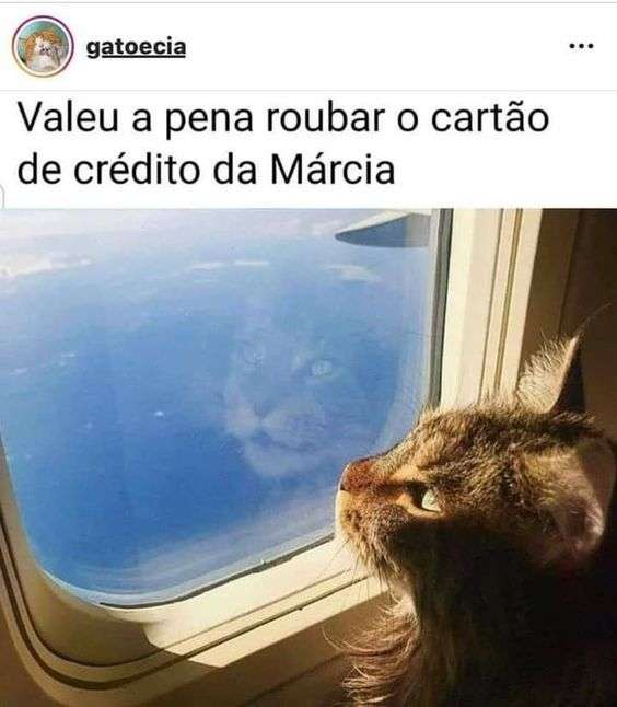 Meme do cartão de credito