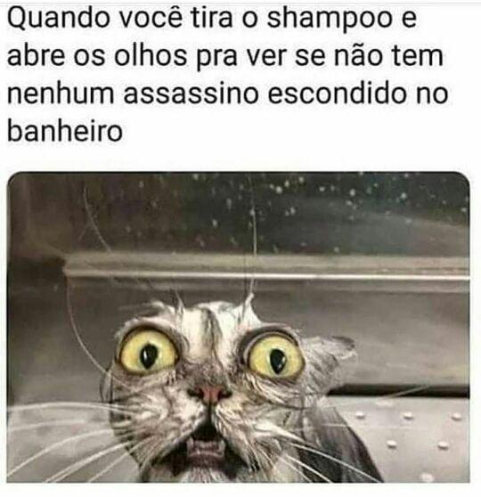 Meme do gato assutado