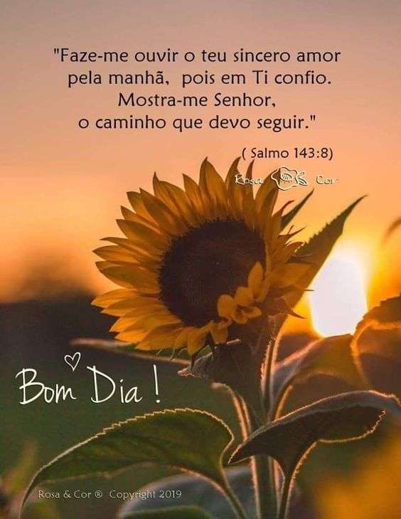 Bom dia sincero amor