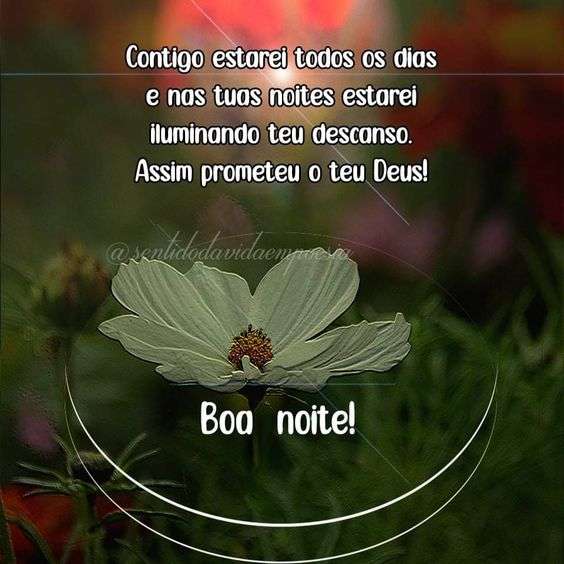 Boa noite contigo estarei