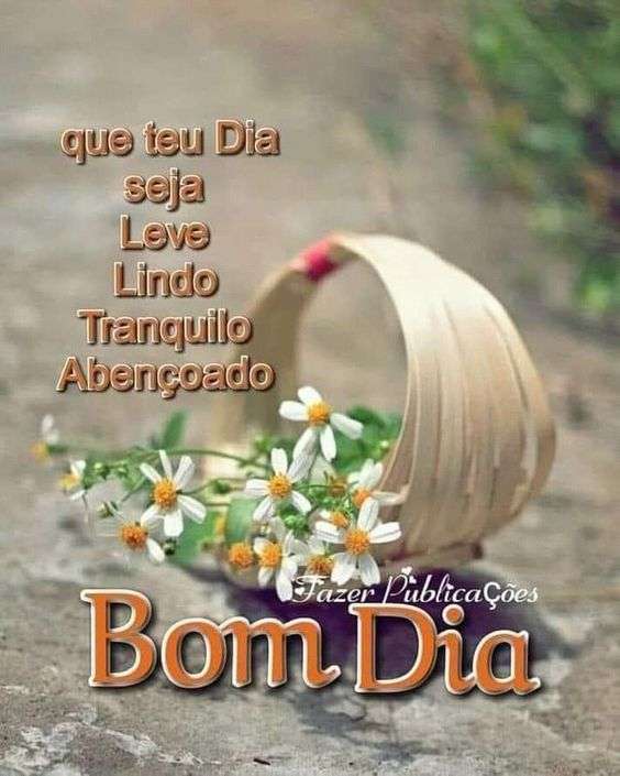 Bom dia com um dia tranquilo