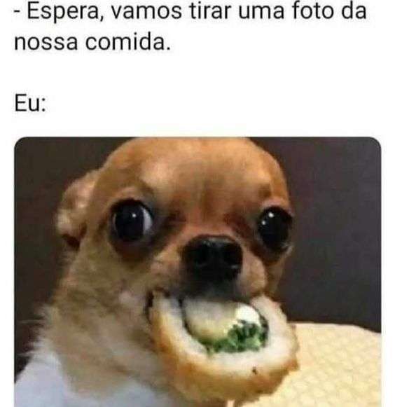 Meme cachorro e comida