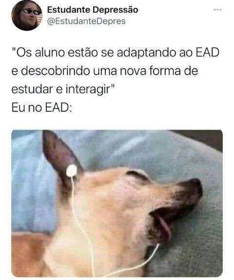 Meme do cao aluno