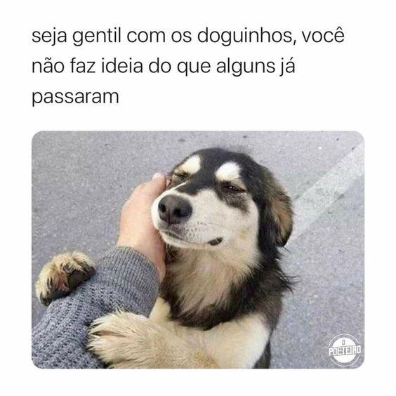 Meme do cão gentil