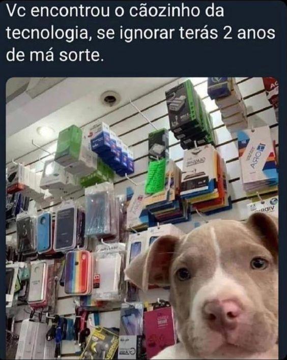 Meme cão da tecnologia