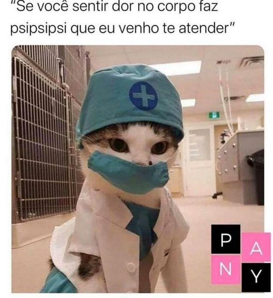 Meme do gato medico