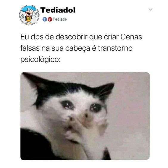 Memes de engraçados de gatos