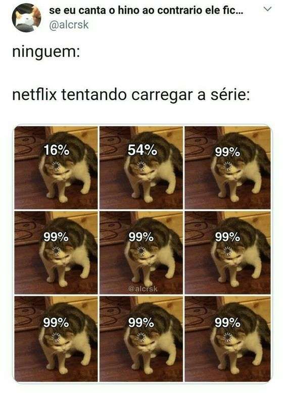 Olha o cachorro parado