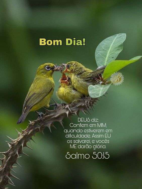 Bom dia confiar em Deus