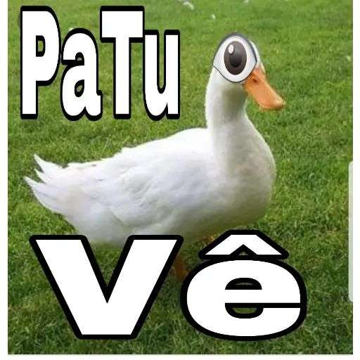 Figurinha engraçada do pato olhudo