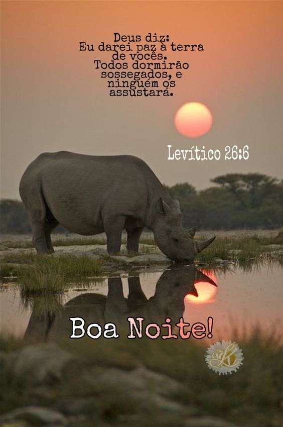 Boa noite darei paz á terra