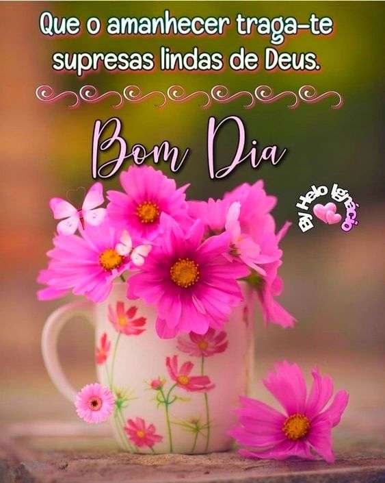 Bom dia amanhecendo com surpresas