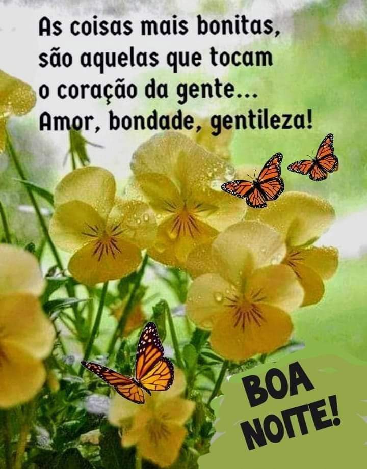 Frases sobre amor, bondade e gentileza