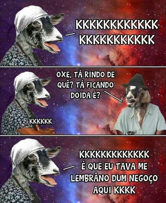 Memes engraçados dois bodes conversando