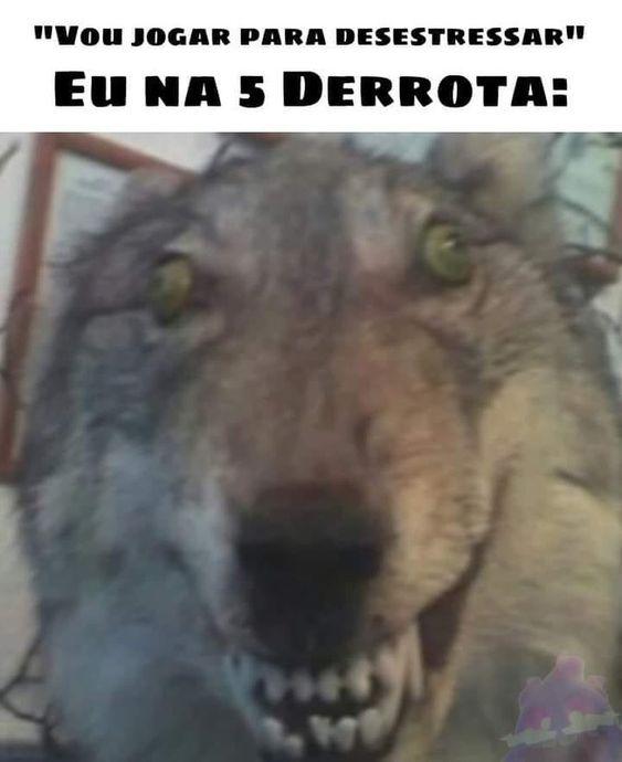 Memes engraçados lobo com rosto doido