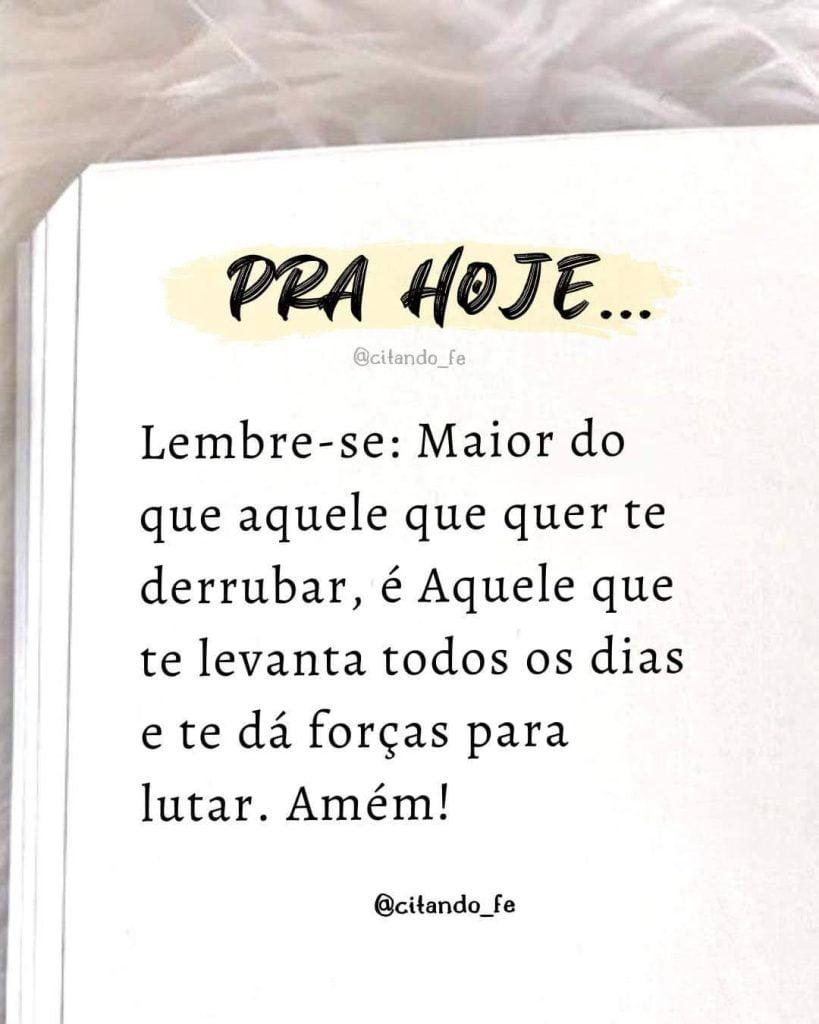 Frase do dia de hoje