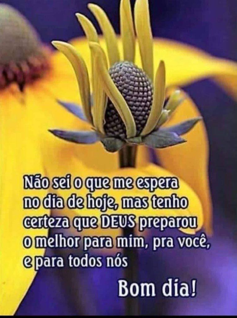 Frase de bom dia