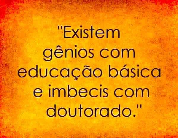 Frase sobre inteligência