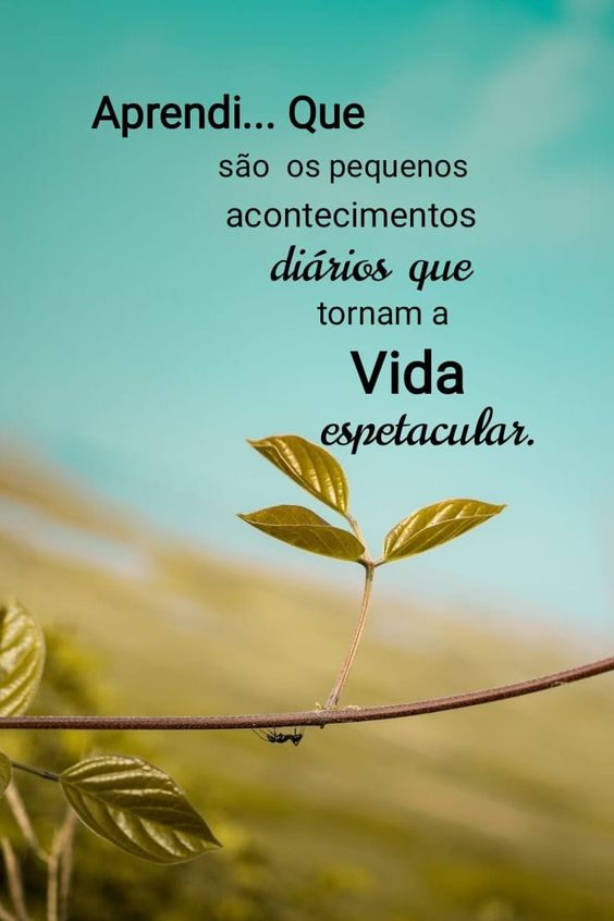 Mensagens de Bom Dia Motivacionais, devemos dar valor aos pequenos acontecimentos da nossa vida. 