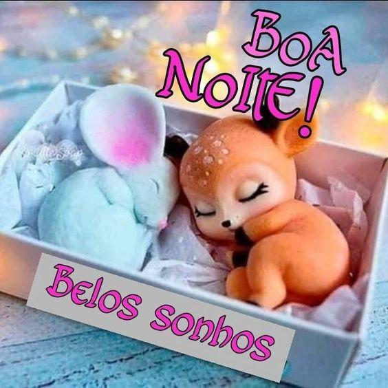 Frase de Belos Sonhos e dois animaizinhos dormindo 