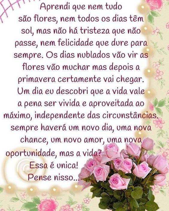 Lindo fundo com flores e rosas e uma mensagem motivacional sobre a vida