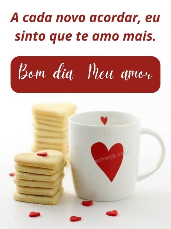 Bom dia meu amor, te amo cada dia mais