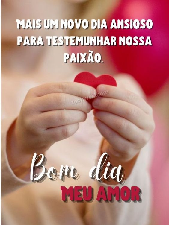 Bom dia meu amor, lindo dia para dizer que te amo.