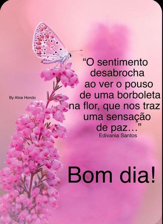 Frases de bom dia para meditar e refletir 