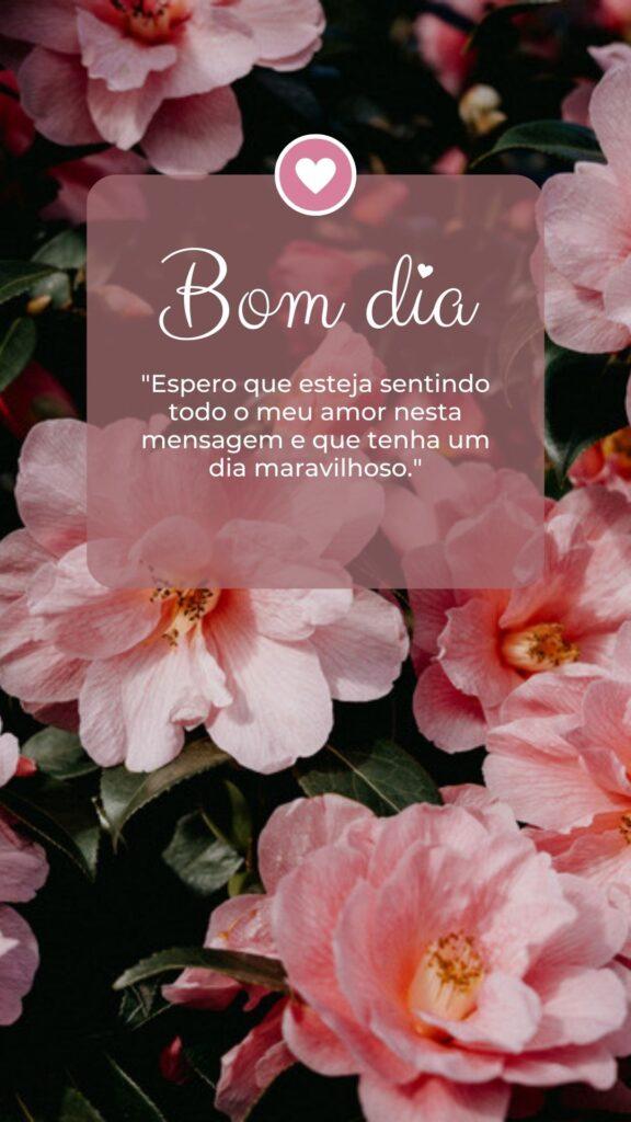 "Bom dia, meu amor! Espero que esteja sentindo todo o meu amor nesta mensagem e que tenha um dia maravilhoso."