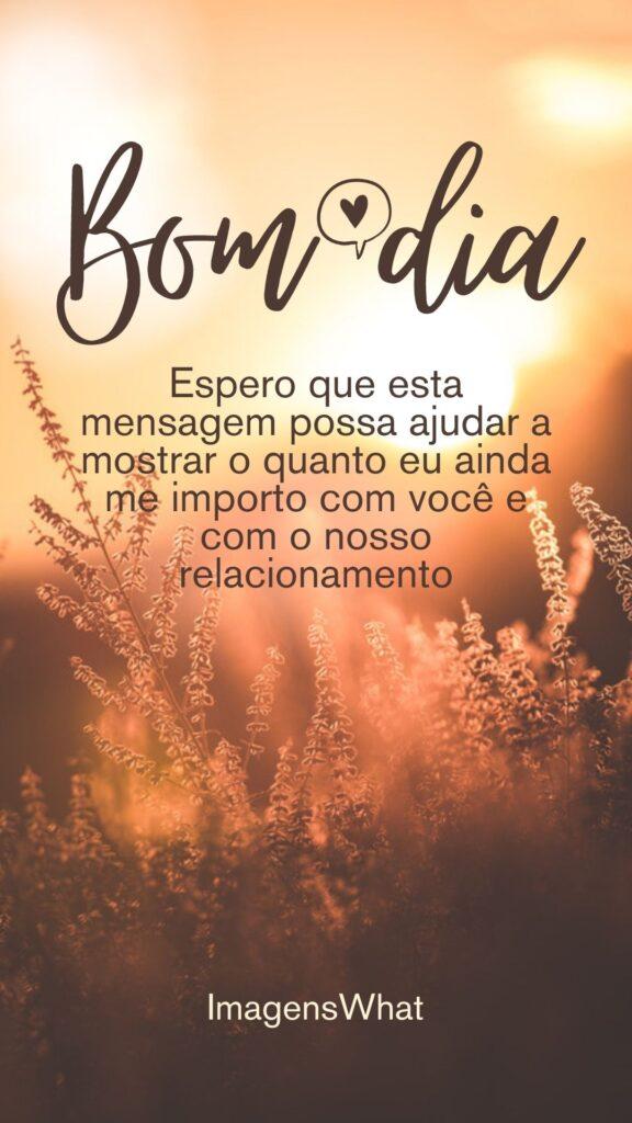 Bom dia, meu amor! Espero que esta mensagem possa ajudar a mostrar o quanto eu ainda me importo com você e com o nosso relacionamento."