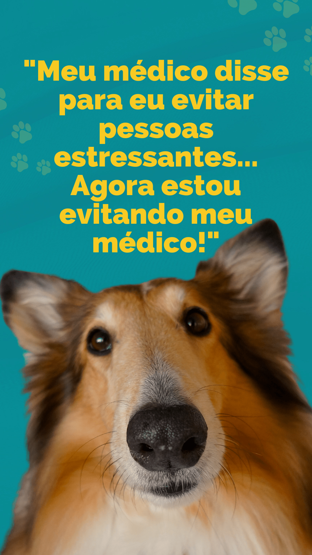 Ria Alto Com As Melhores Frases Engraçadas Para Status Ria Alto Com As Melhores Frases Engraçadas Para Status