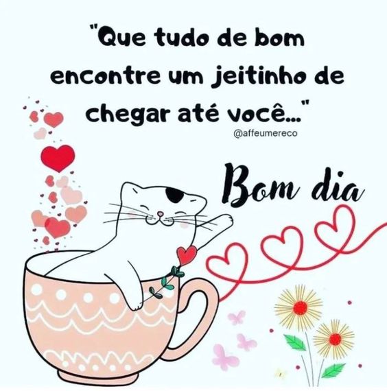 Bom dia com carinho e tudo de bom