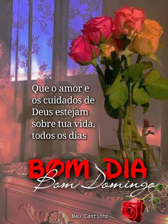 Bom dia bom domingo