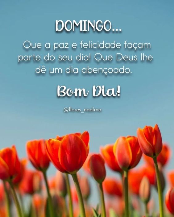 Domingo de paz e felicidade