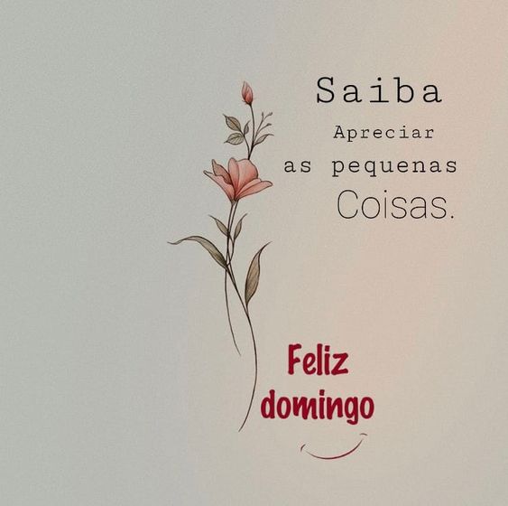 Feliz Domingo saiba apreciar