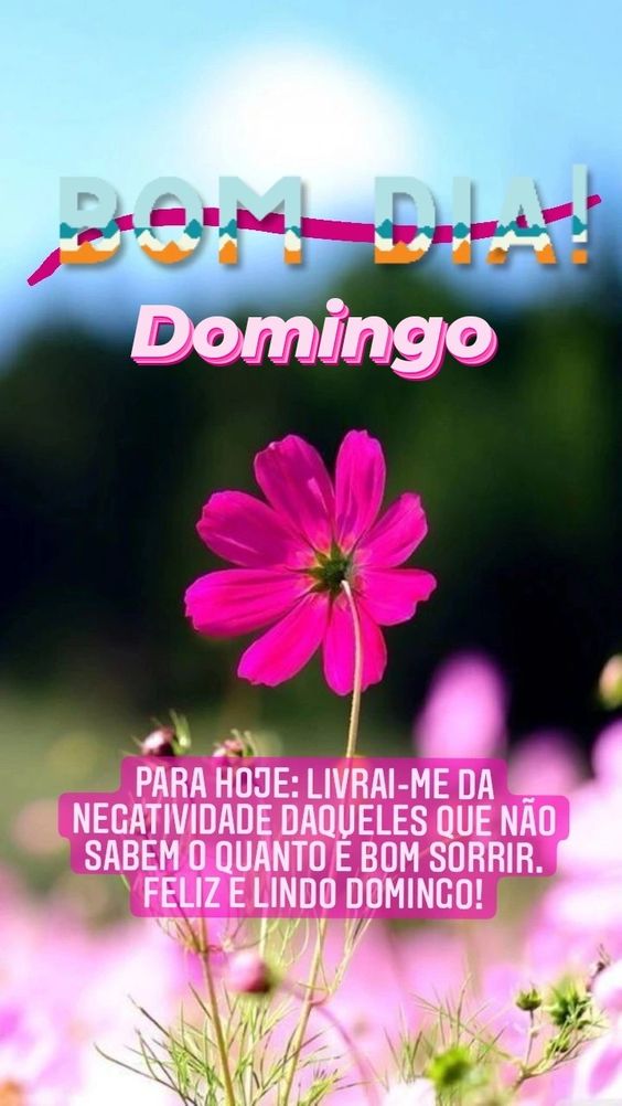 Feliz e lindo domingo